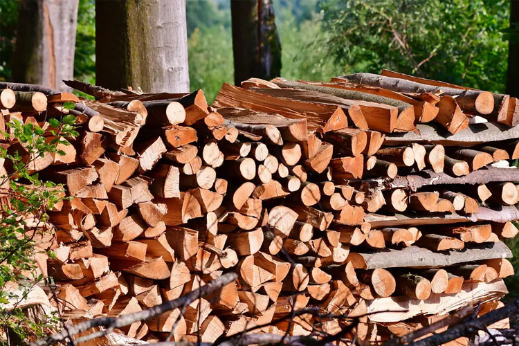 Electric Firewood Processor